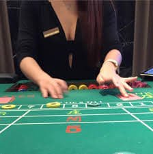 bayvip