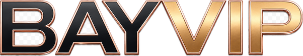 bayvip logo
